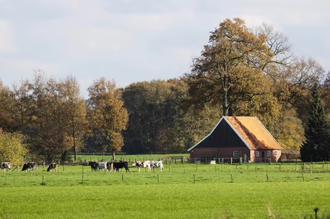 Nationaal Landschap Winterswijk